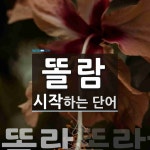 똘람 시작 단어