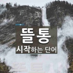 뜰통으로 시작하는 단어는? 1개