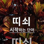 띠쇠 시작 단어
