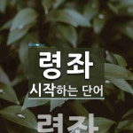 령좌로 시작하는 단어는? 1개