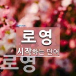 로영으로 시작하는 단어는? 2개
