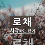로채 시작 단어