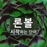 론볼로 시작하는 단어는? 1개