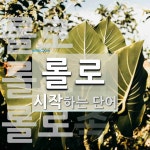 롤로로 시작하는 단어는? 4개