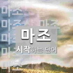 마조로 시작하는 단어는? 11개