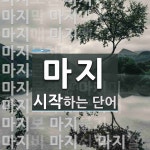 마지로 시작하는 단어는? 41개