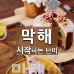막해 시작 단어