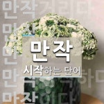 만작으로 시작하는 단어는? 7개