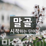 말골 시작 단어