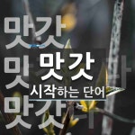 맛갓으로 시작하는 단어는? 3개