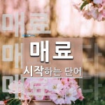 매료 시작 단어