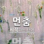 먼춤으로 시작하는 단어는? 1개