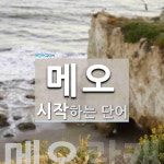 메오 시작 단어
