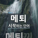 메퇴 시작 단어