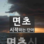 "면초" 시작 단어