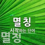 멸칭으로 시작하는 단어는? 2개
