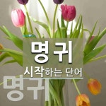 명귀로 시작하는 단어는? 2개