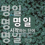 명일로 시작하는 단어는? 3개