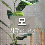 모로 시작하는 단어는? 4197개