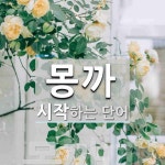 "몽까" 시작 단어