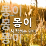 몽이 시작 단어