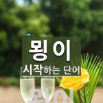 "묑이" 시작 단어