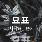 묘표로 시작하는 단어는? 1개
