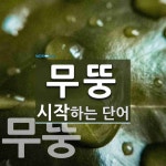무뚱으로 시작하는 단어는? 2개