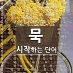 묵으로 시작하는 단어는? 385개