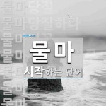 물마 시작 단어