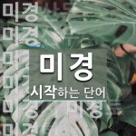 미경으로 시작하는 단어는? 22개