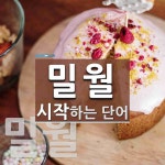 밀월로 시작하는 단어는? 2개