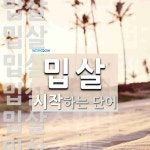 밉살로 시작하는 단어는? 8개