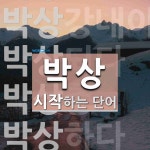 박상으로 시작하는 단어는? 8개