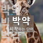 박약으로 시작하는 단어는? 3개