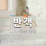 반객 시작 단어