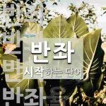 반좌로 시작하는 단어는? 6개