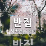 반집으로 시작하는 단어는? 3개