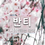반티로 시작하는 단어는? 5개