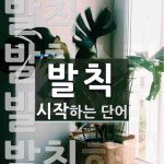 발칙으로 시작하는 단어는? 4개