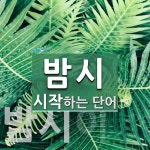 밤시로 시작하는 단어는? 2개