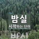 밤실로 시작하는 단어는? 1개