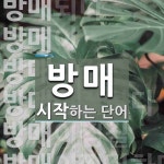 방매로 시작하는 단어는? 10개