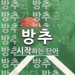 방추로 시작하는 단어는? 52개