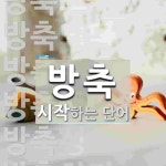 방축으로 시작하는 단어는? 13개