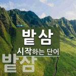 밭삼 시작 단어