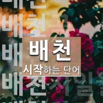 배천으로 시작하는 단어는? 8개
