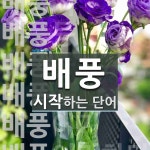 배풍 시작 단어