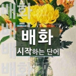 배화 시작 단어