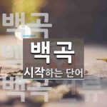 백곡으로 시작하는 단어는? 3개